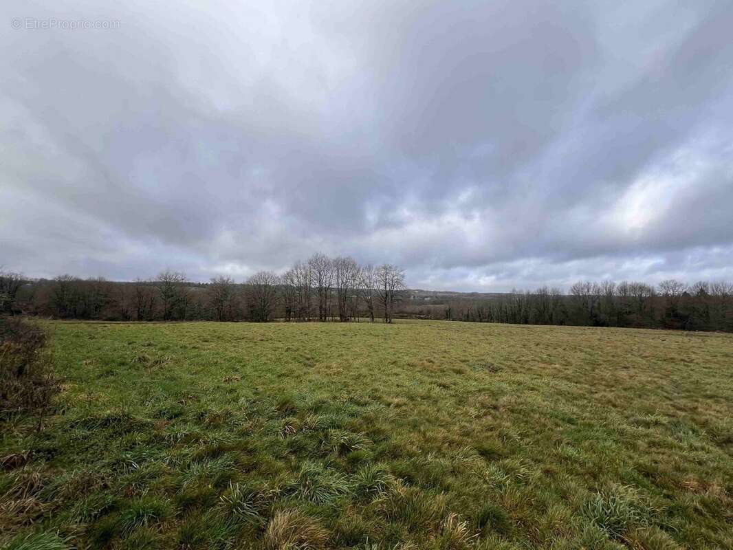 Terrain à LESSAC