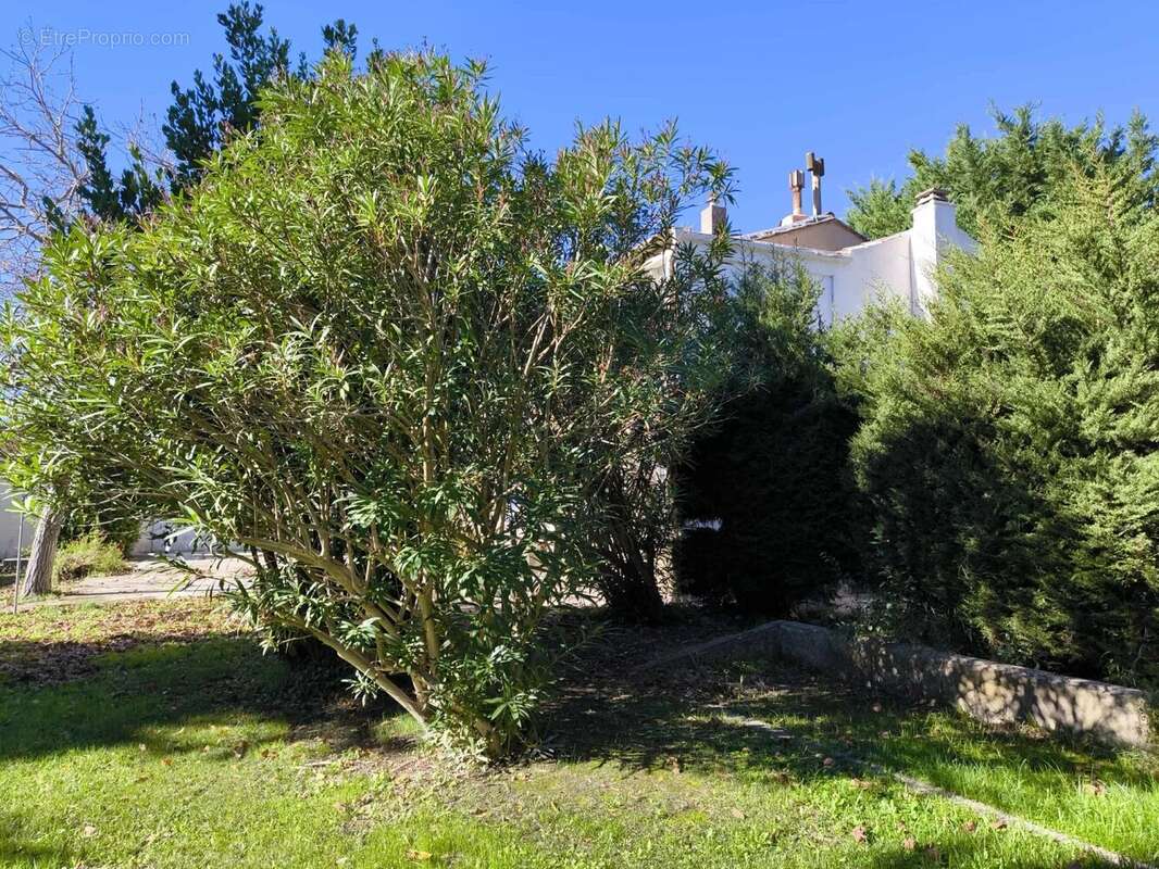 Maison à CARPENTRAS