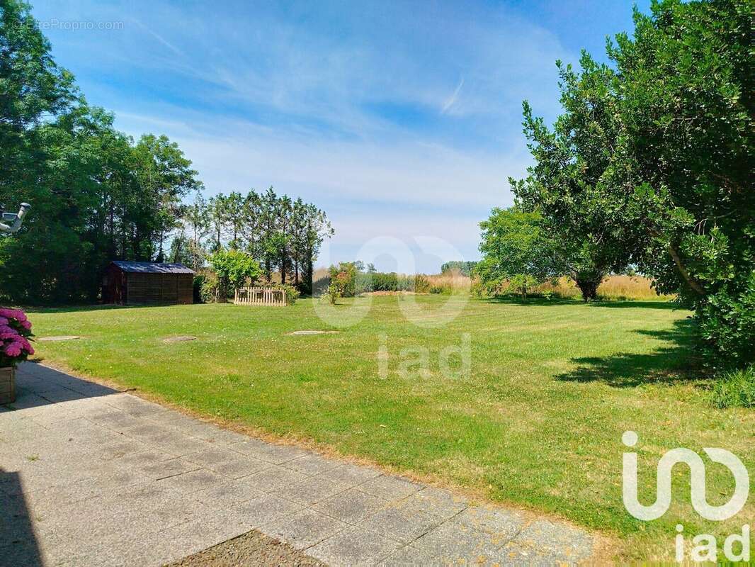 Maison 275 m² à Cherrueix  - photo 4