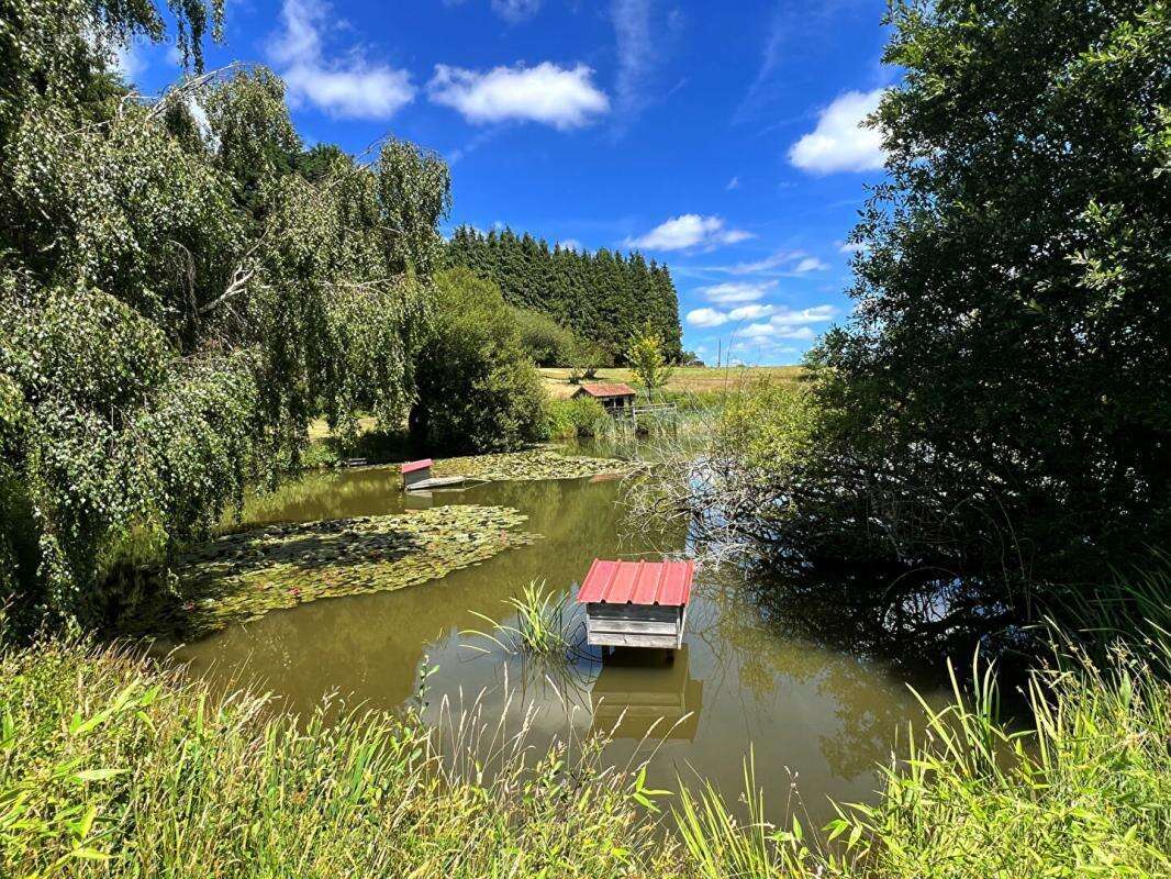 Etang avec chalet 4 pièce(s) 35 m2 - photo 3