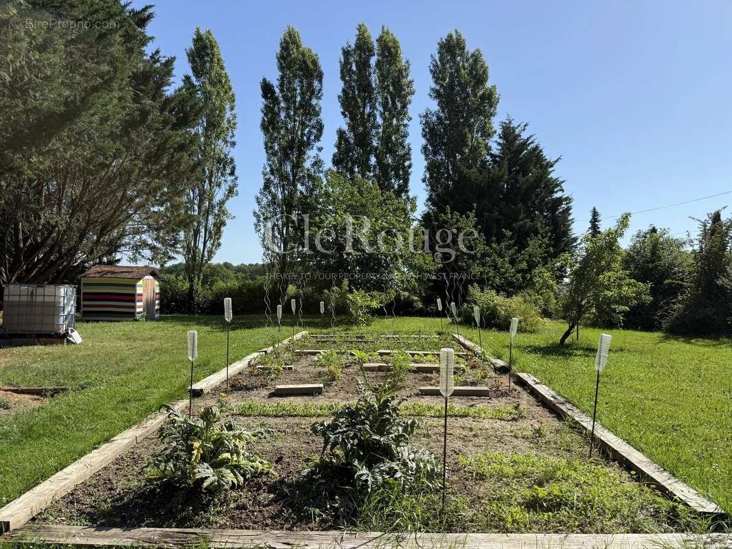 Près de Sauveterre de Guyenne - Belle maison avec gîte et piscine - photo 27