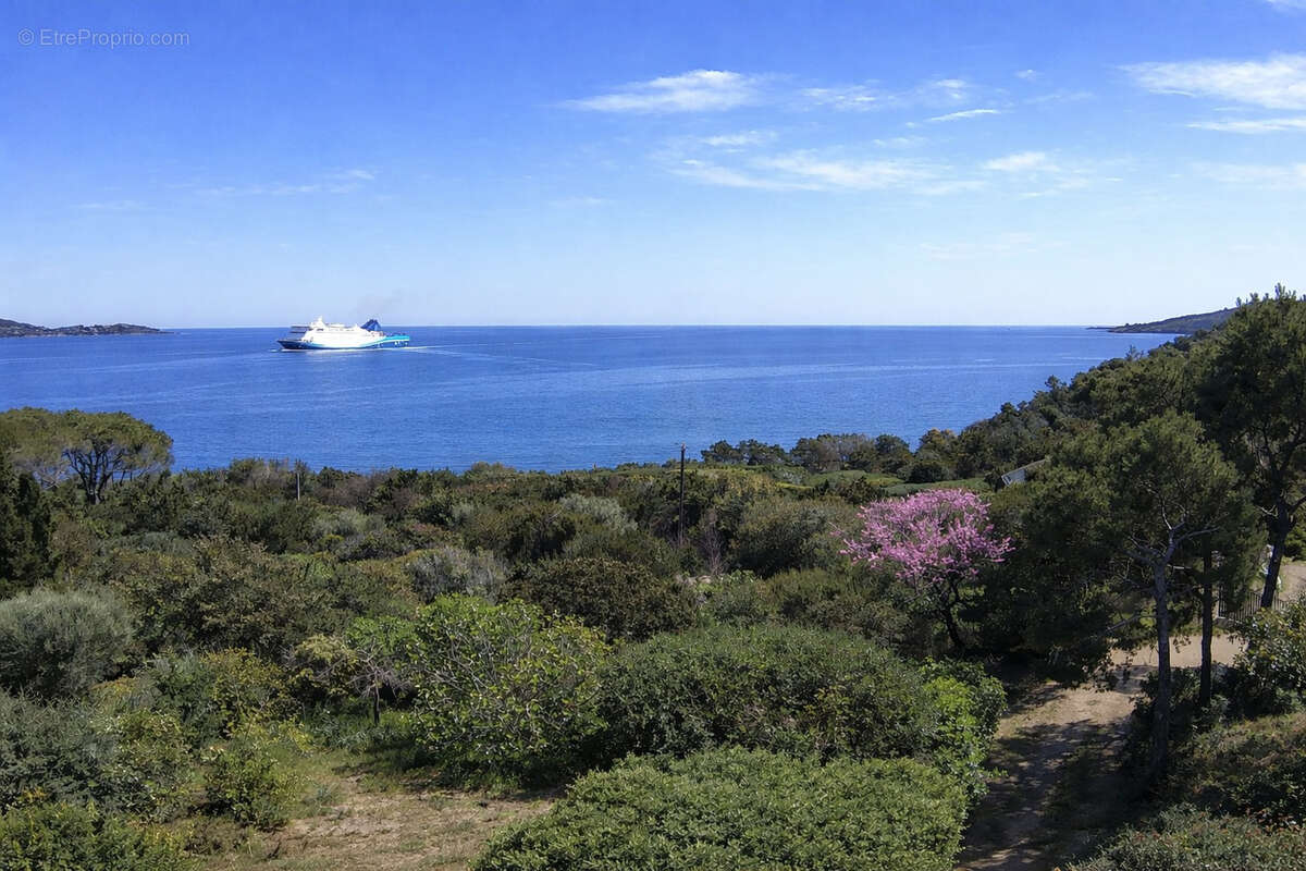 Maison à PORTO-VECCHIO