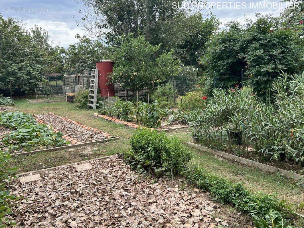 Maison à TORREILLES