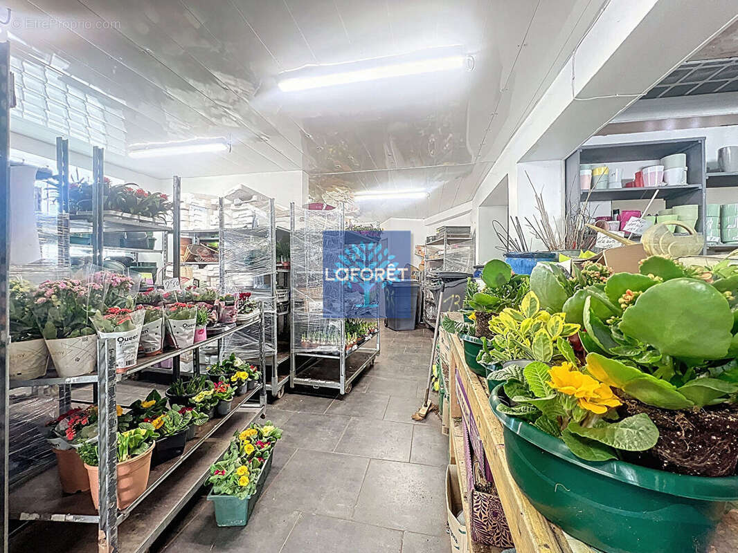 Commerce à ANZIN