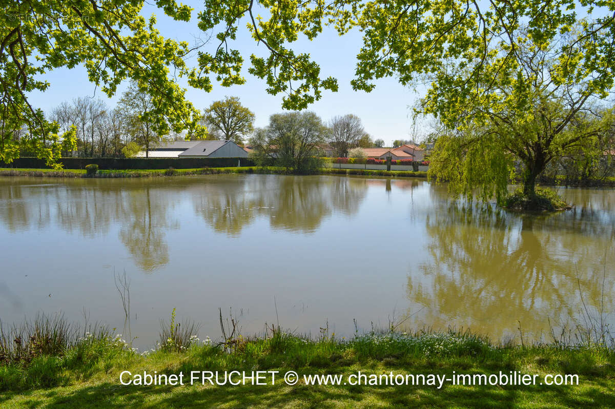 Maison à CHANTONNAY
