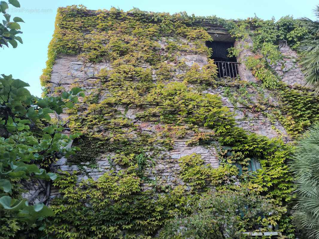 Maison à SAINT-LAURENT-DE-LA-SALANQUE