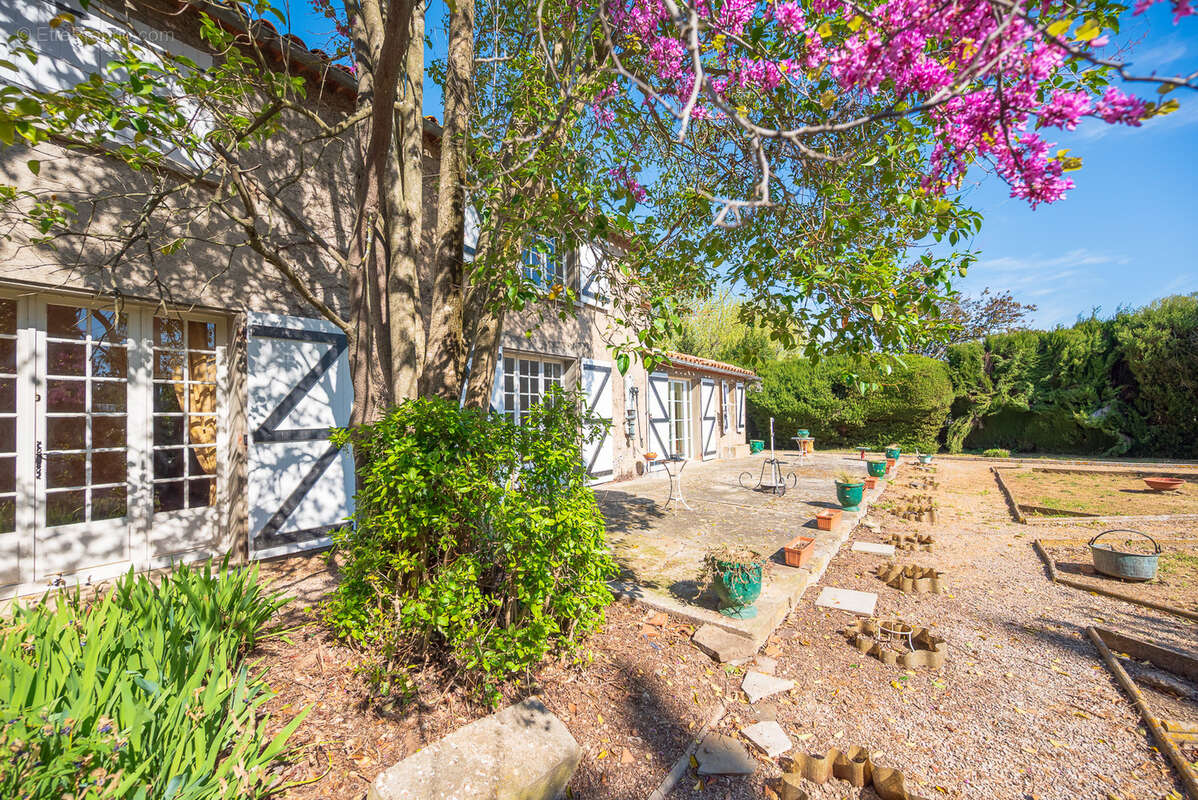 Maison à PEYRIAC-MINERVOIS