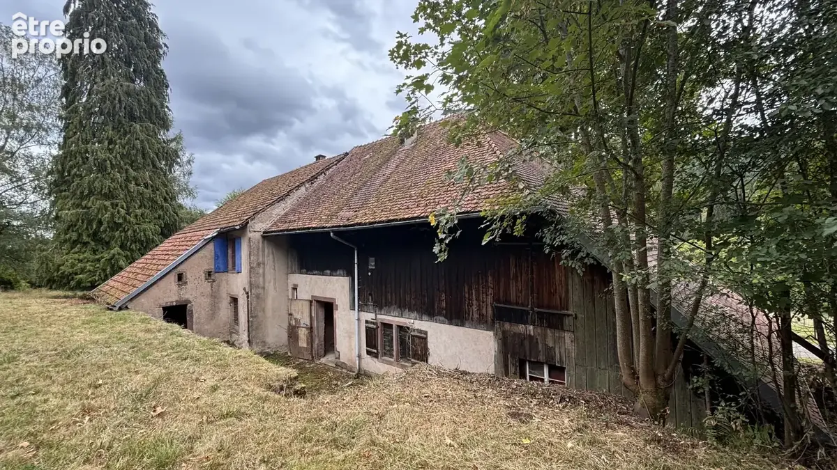 Maison forestière de 159 m2 - GRANDFONTAINE - photo 6