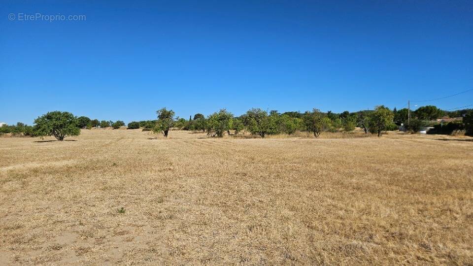 Terrain à PERTUIS