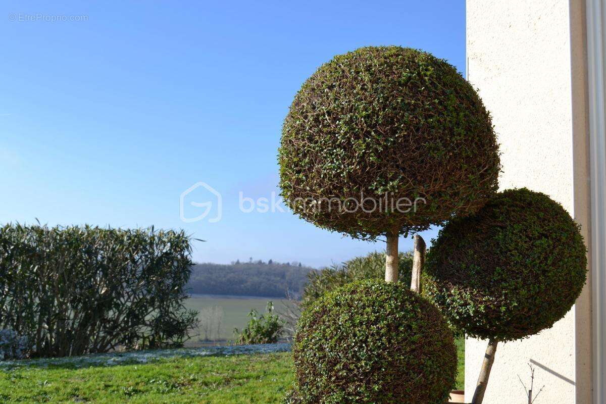 Maison à VILLEFRANCHE-DE-LAURAGAIS
