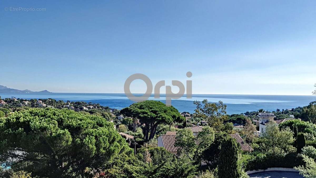 Terrain à ROQUEBRUNE-SUR-ARGENS