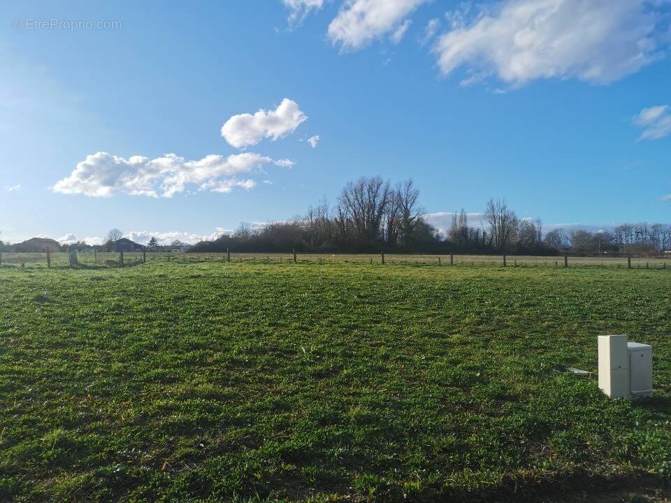 Terrain à MARTILLAC