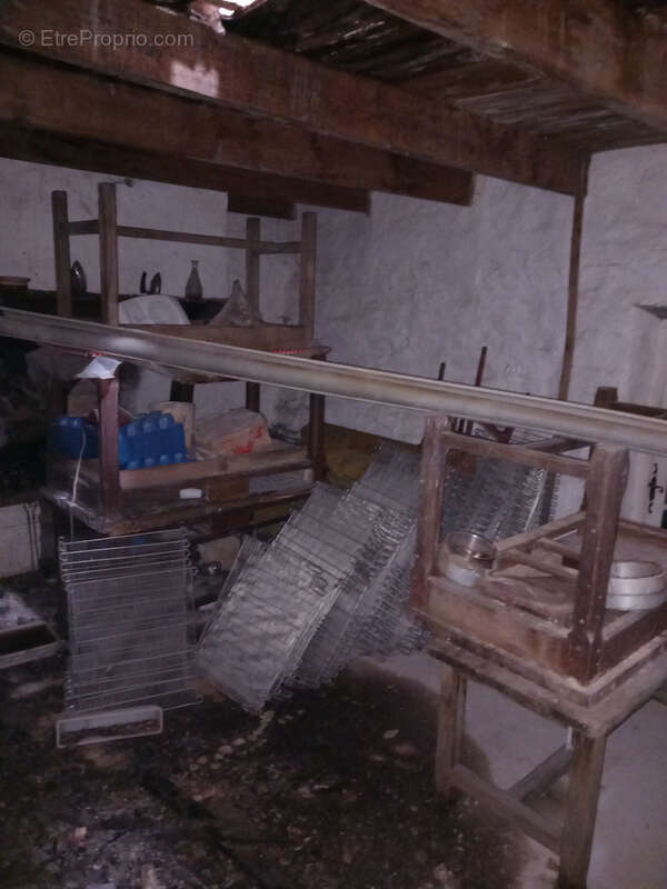 Unique ! ancienne Ferme à rénover sur 15Ha de patures et bois . - photo 32