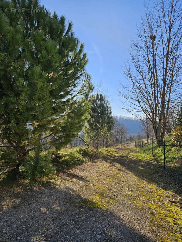 Terrain constructible de 3000 m2 avec très belle vue dégagée plein SUD secteur prisé d'Onet l'Eglise - photo 7