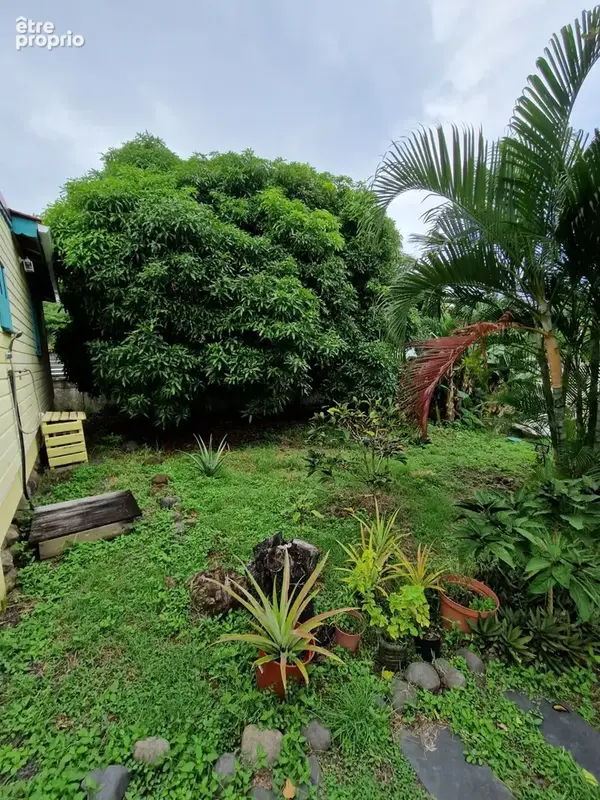DESHAIES, Villa plage à pied, 2 bungalow, garage et piscine, sur 1 965 m² de terrain arboré - photo 6