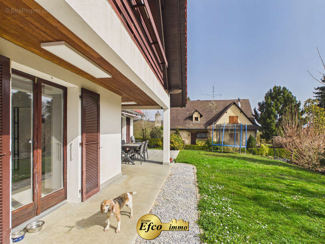 Maison à LEYMEN
