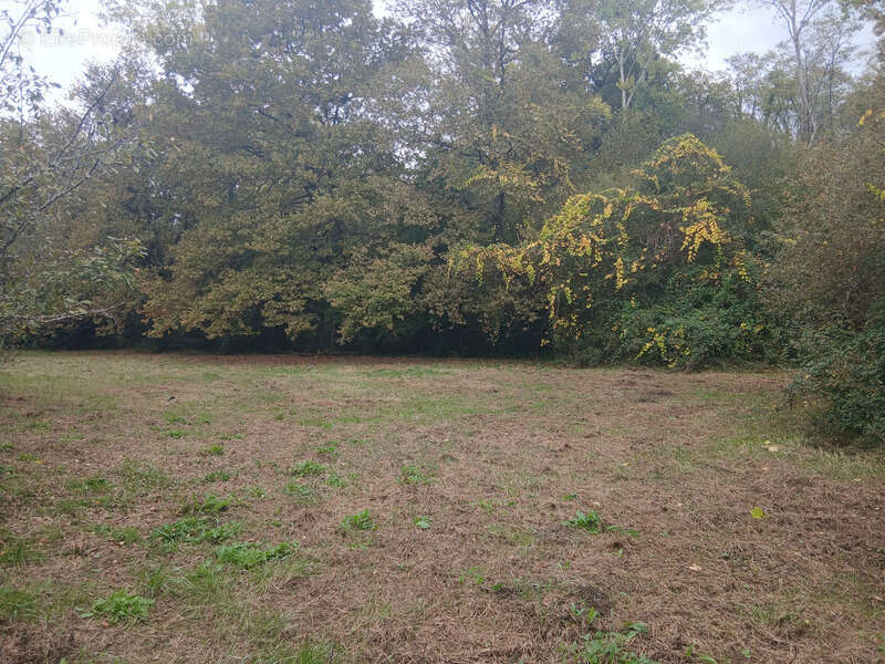 Terrain à CREON