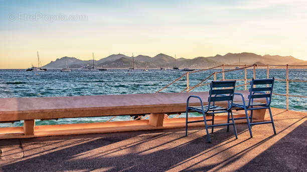 Commerce à CANNES