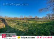 Terrain à CHATRES-SUR-CHER