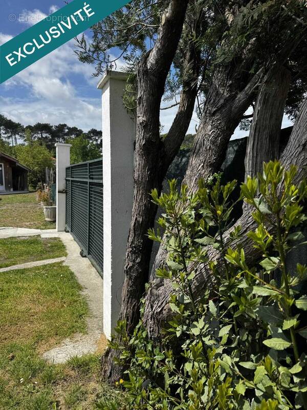 Photo 1 - Terrain à LA TESTE-DE-BUCH