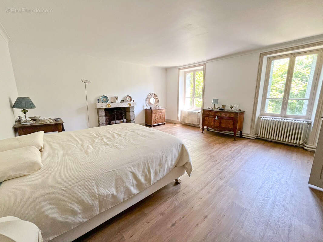CANTAL, Château des Sources à vendre - photo 4