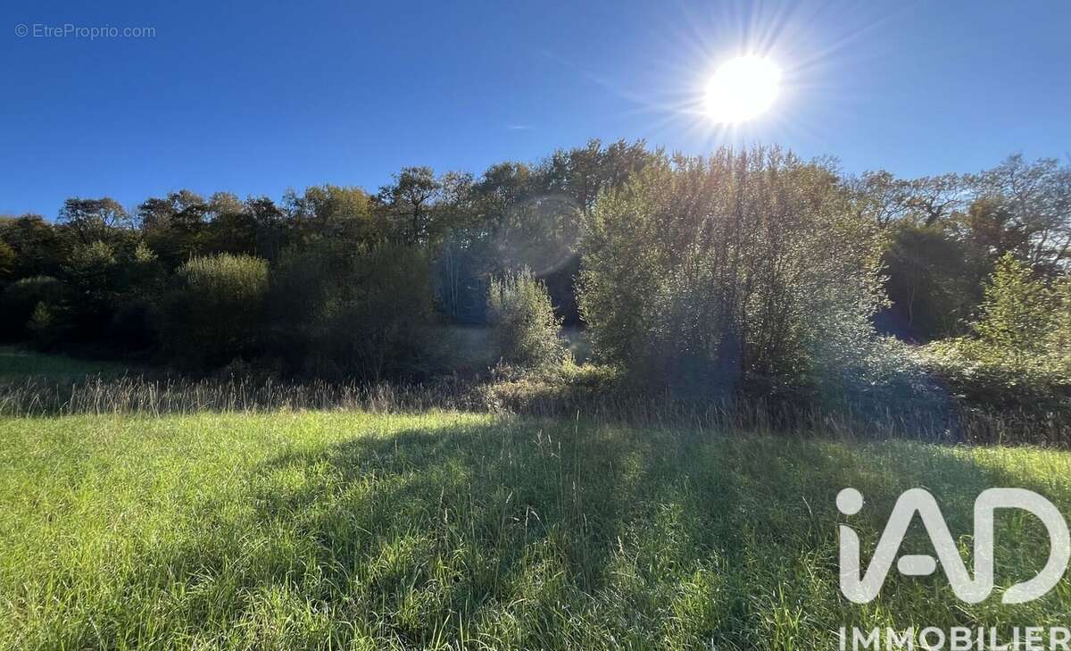 Photo 5 - Terrain à MARGUESTAU