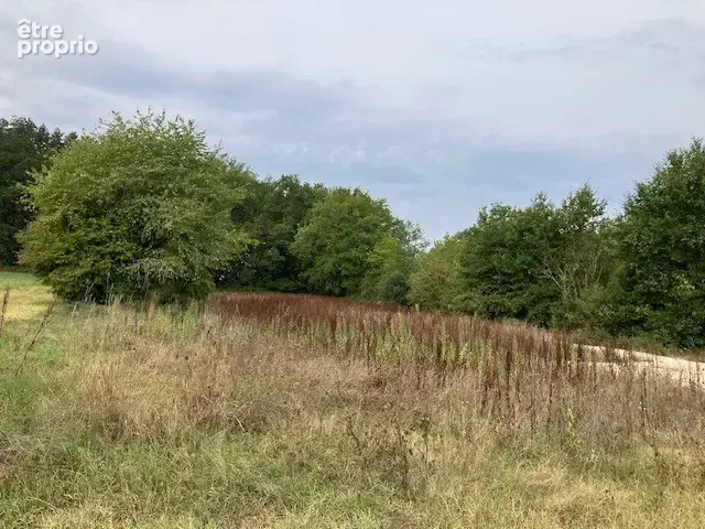 Terrain à bâtir de 3 420 m² – prix négociable – carsac-aillac - photo 5
