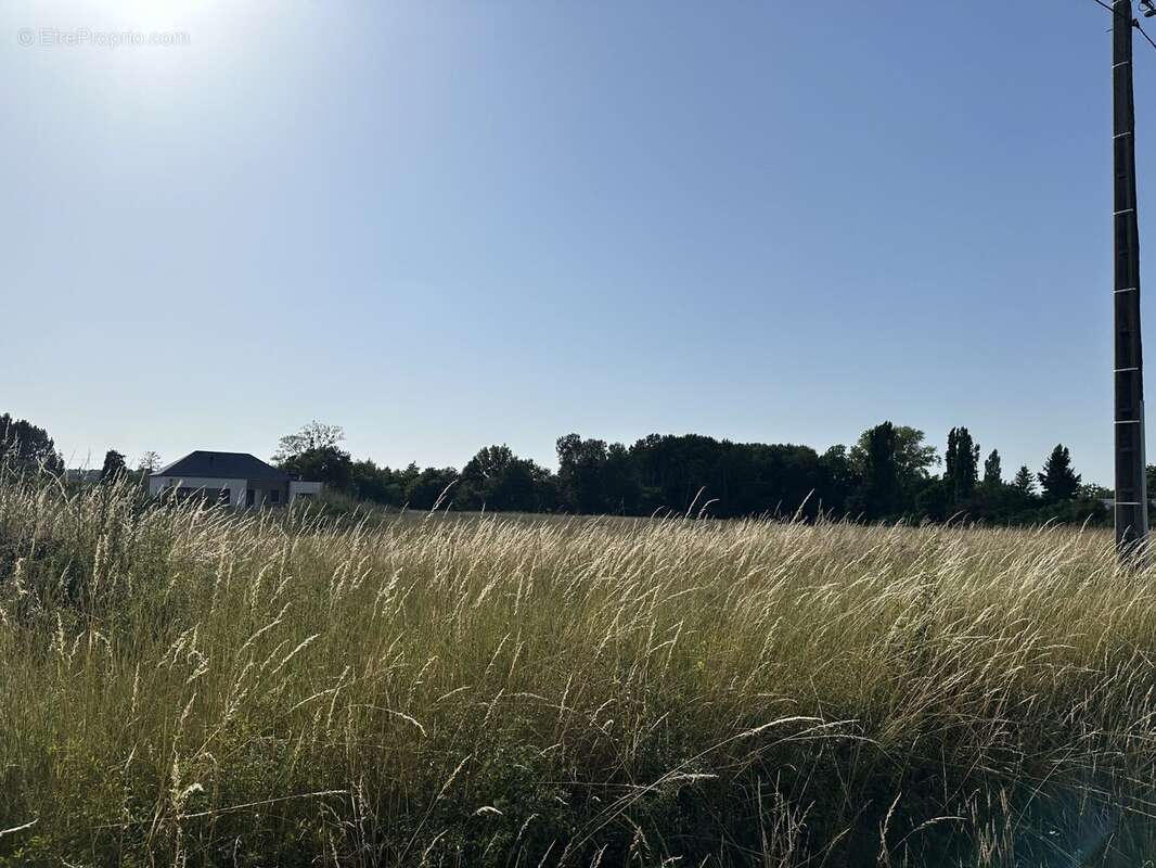 Terrain à LA COUR-MARIGNY