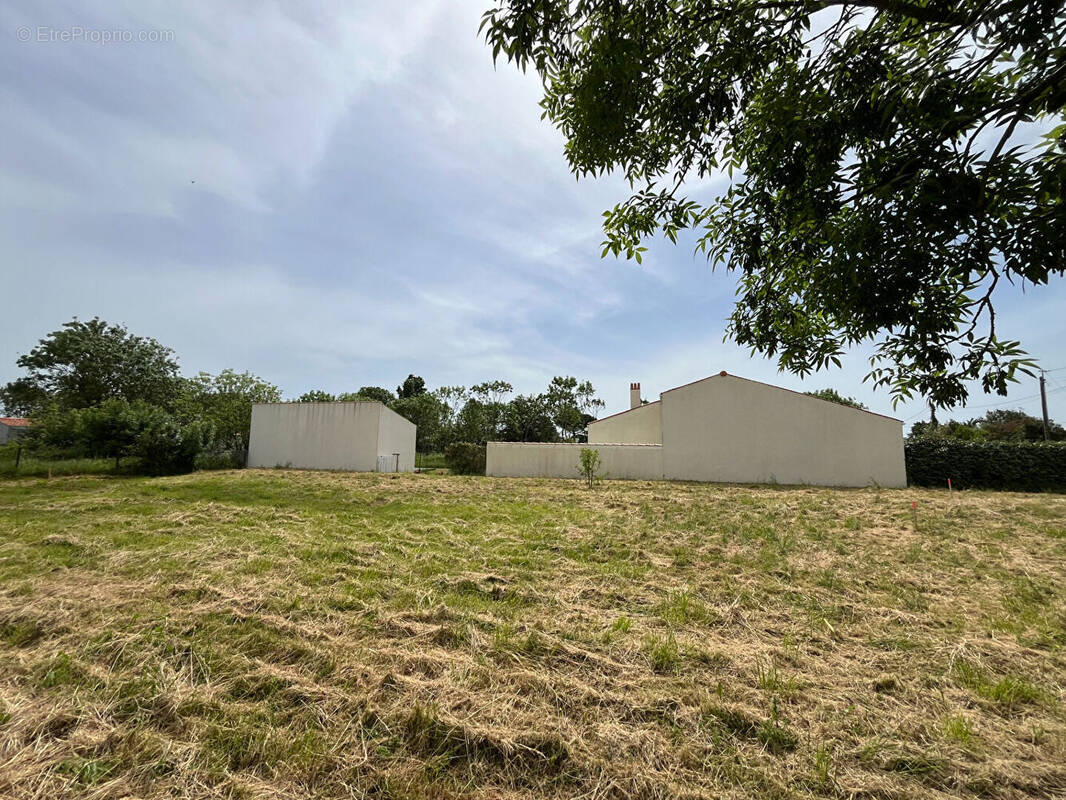 Terrain à SAINT-DENIS-D&#039;OLERON