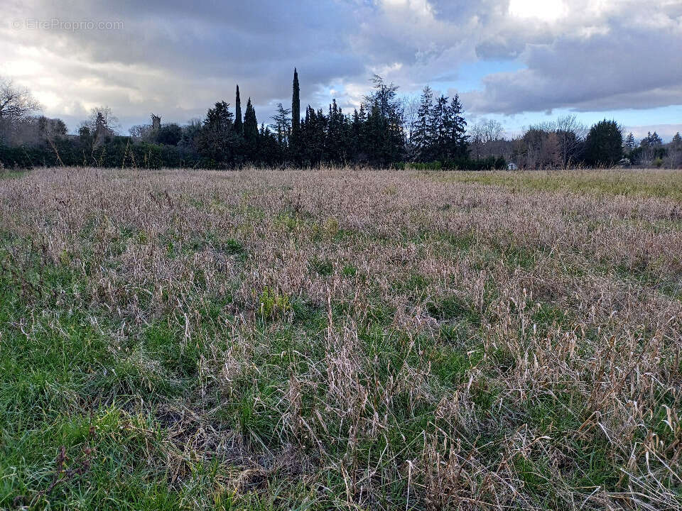 Terrain à LES ISSARDS