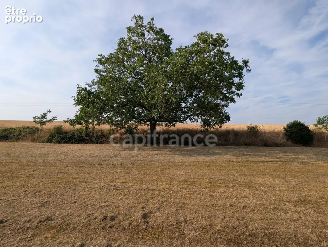 Terrain à vendre  ASNIERES (18) - photo 5