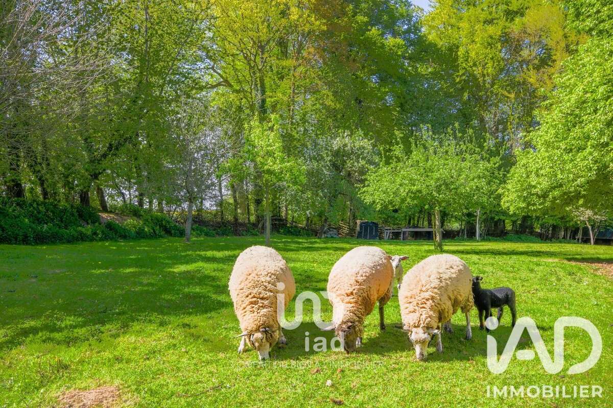 Maison 80 m² à Fauville-En-Caux  - photo 7