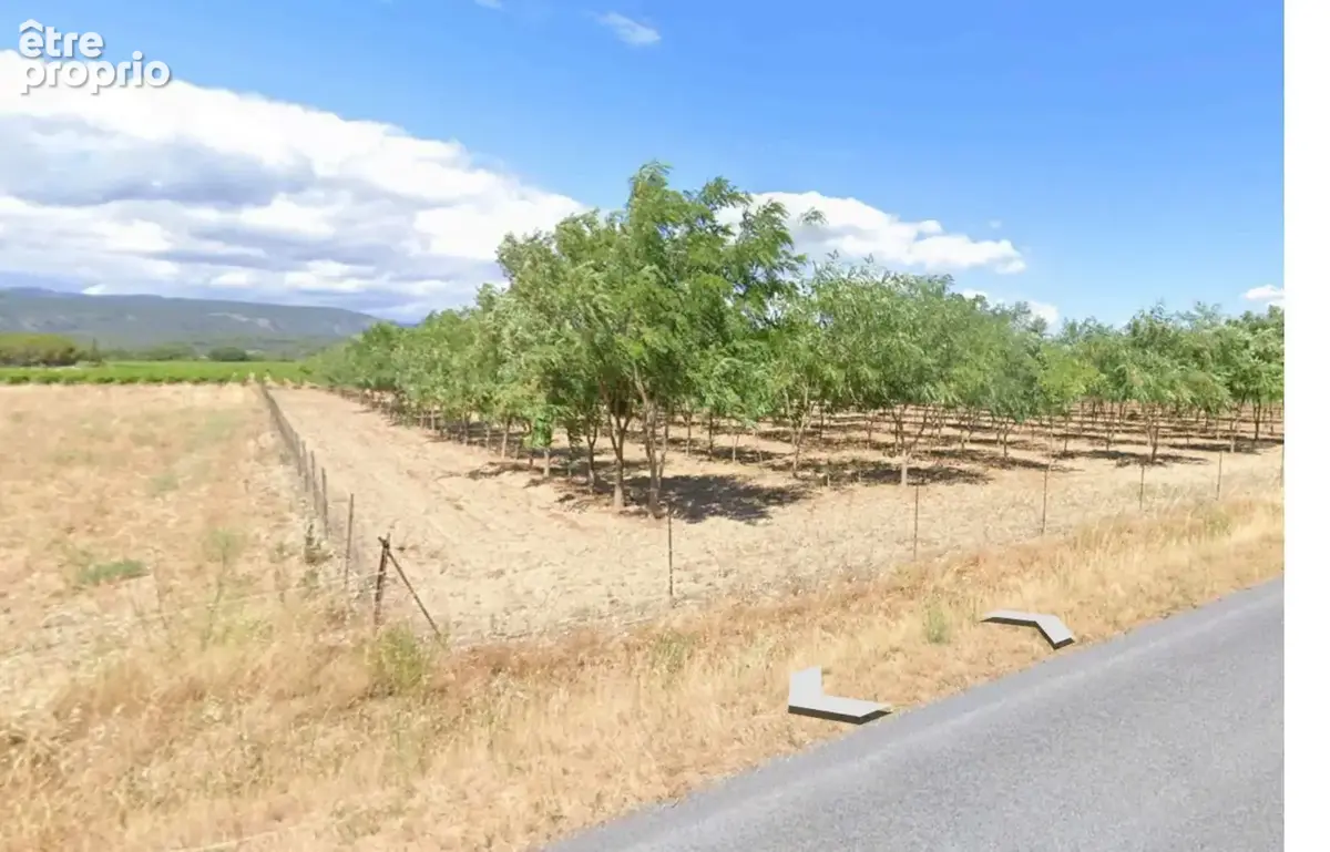 Terrain cloture de 9455 m² a usage d agrement ou agricole - ideal apiculteur - photo 3