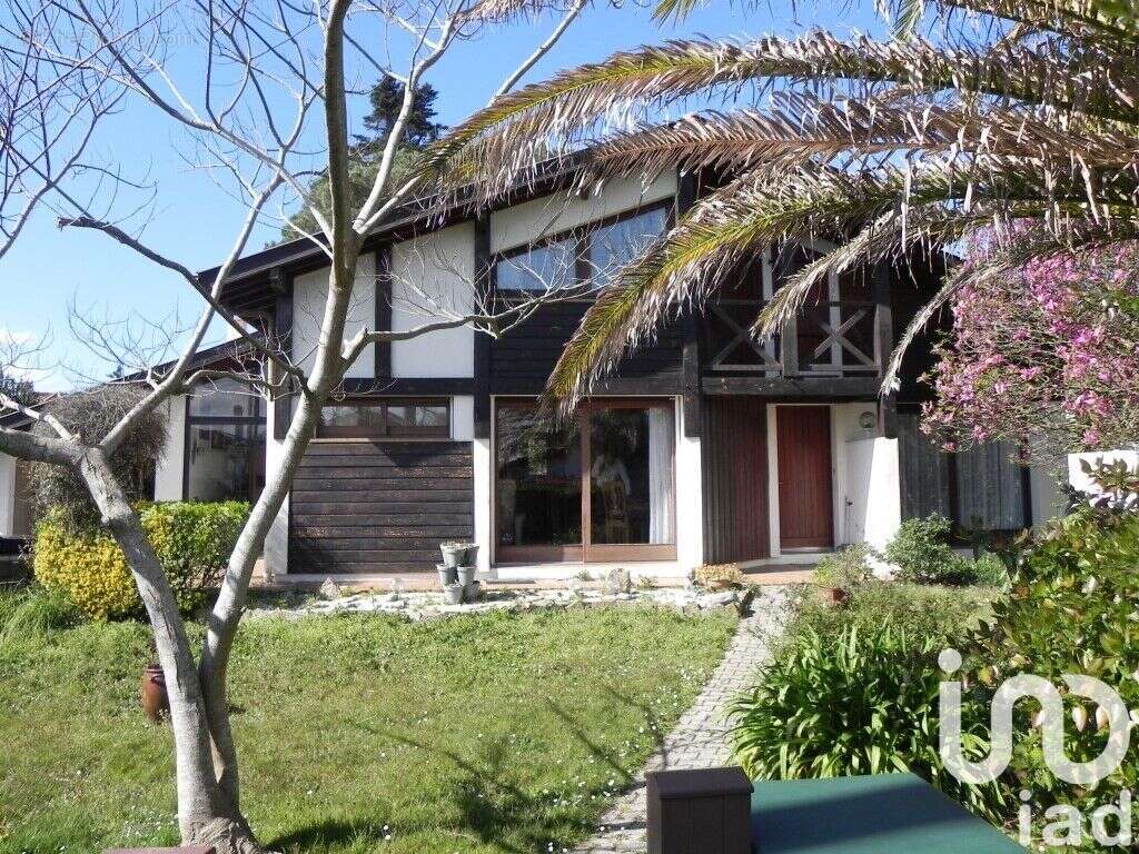 Photo 7 - Maison à SAINT-VINCENT-DE-TYROSSE