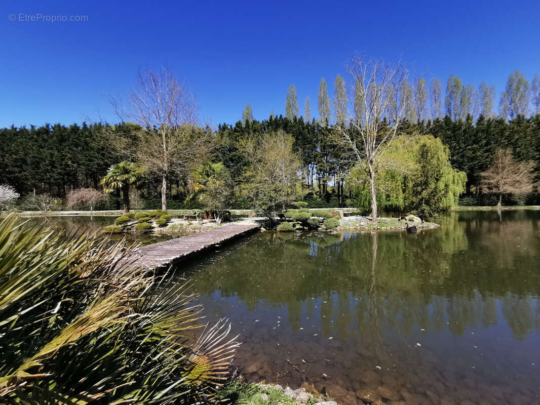 Maison à ROMORANTIN-LANTHENAY