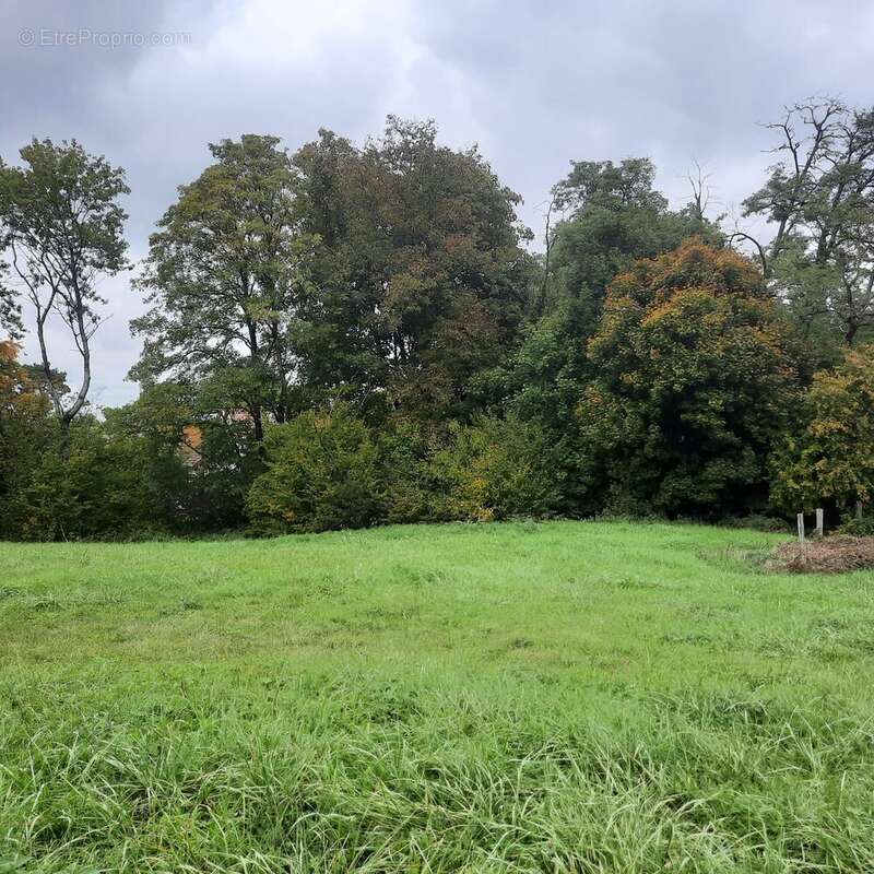 Terrain à CHATILLON-LE-DUC