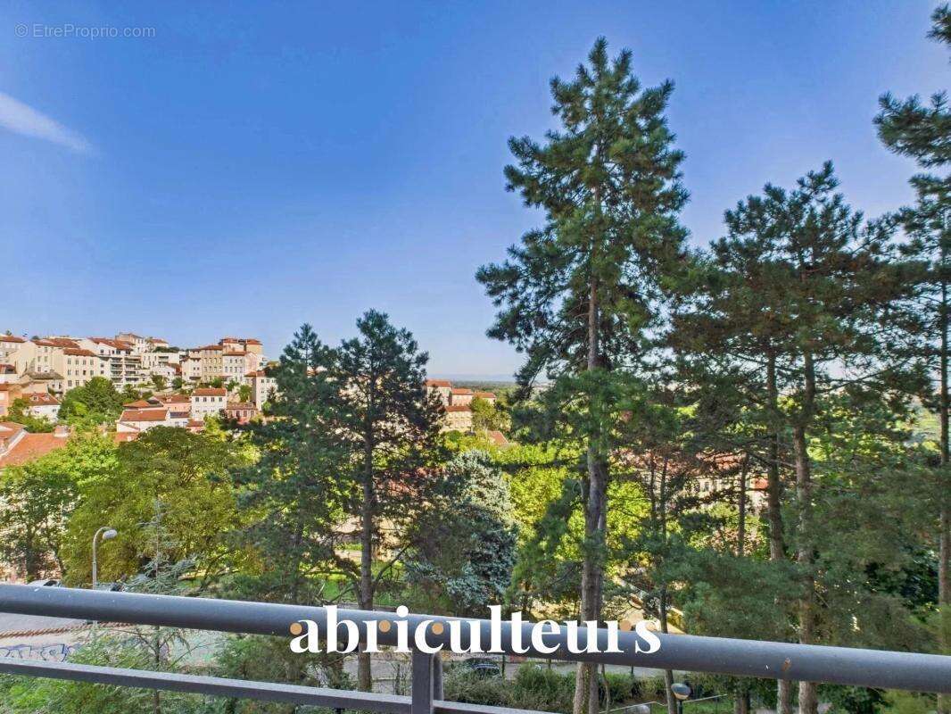 T3 traversant lumineux avec grande terrasse, vue exceptionnelle sur parc, au cœur de la Croix-Rousse - photo 15