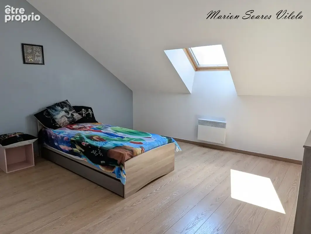 Immeuble- Local + beau duplex avec extérieur-CHAUMES-EN-BRIE centre - photo 9