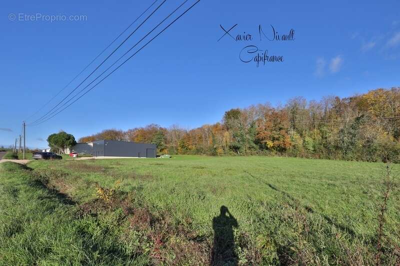 Terrain à VERJON