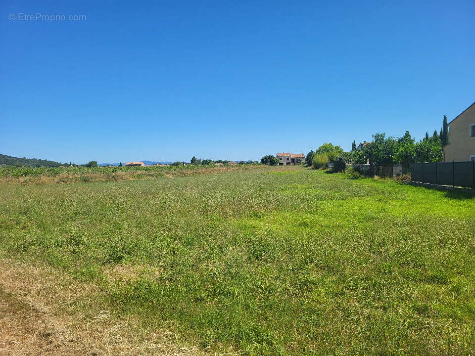 Terrain à RIBAUTE-LES-TAVERNES