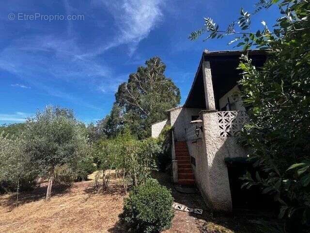 Maison à LE BOSC