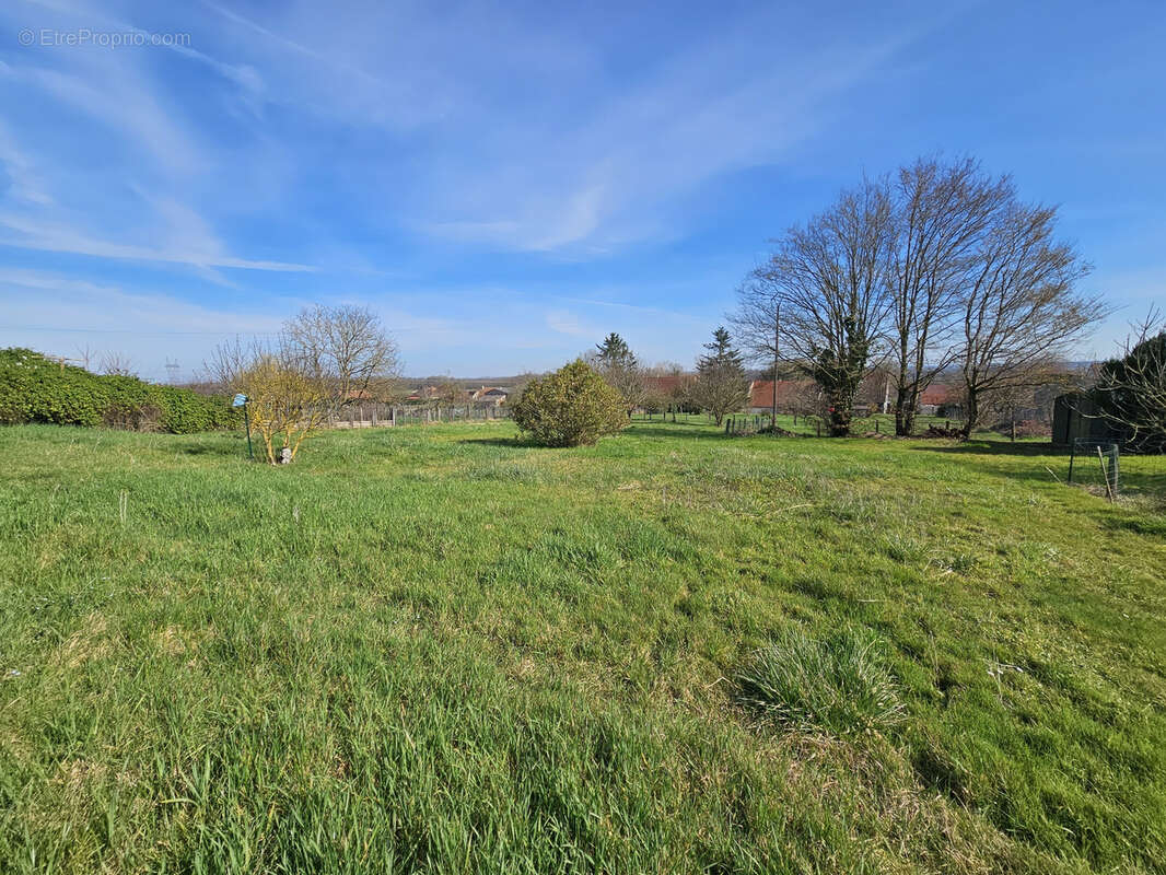 Bragny sur Saône, maison de plain pied à conforter - photo 5