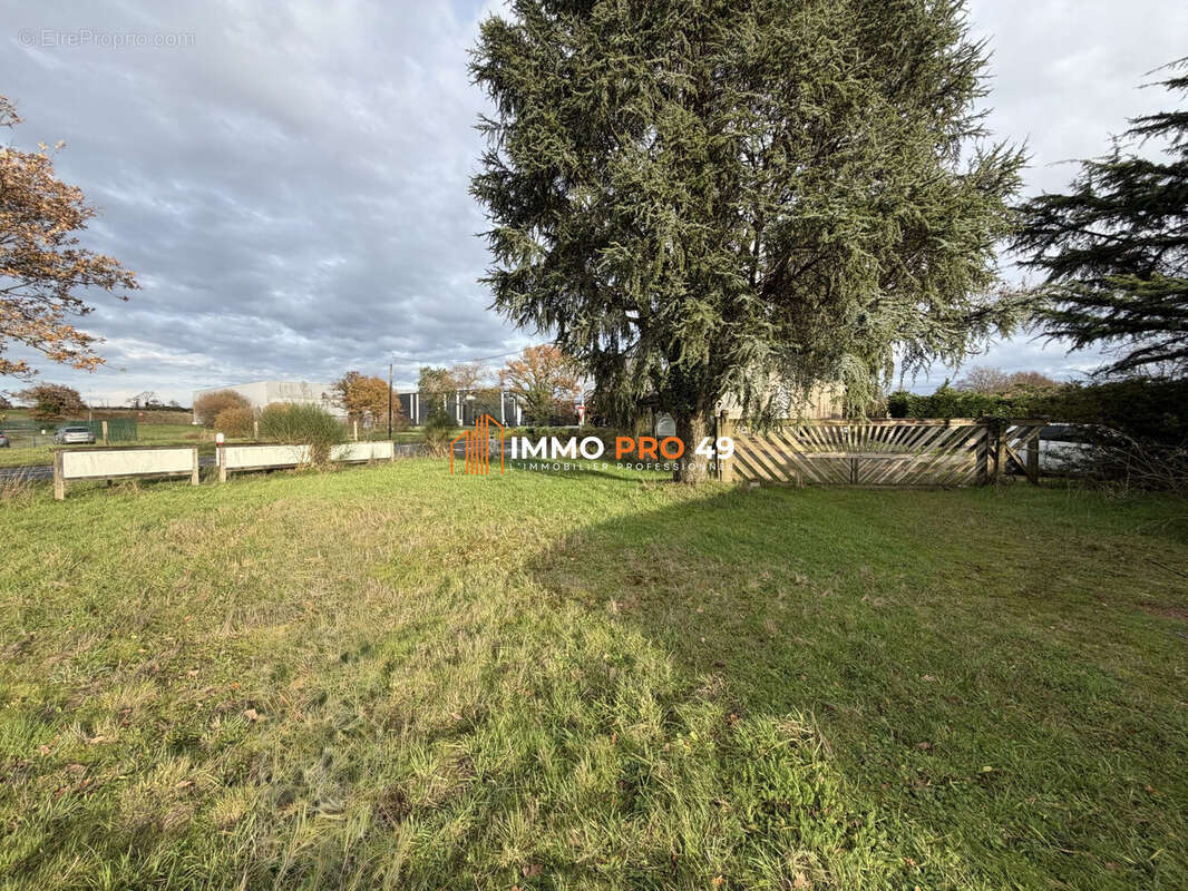 Terrain à LA ROMAGNE