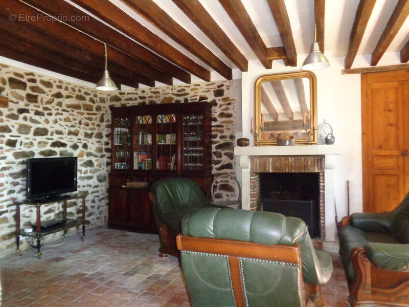 Maisons à vendre TREIGNY (89) Ensemble de deux maison 11pcs 5 ou 6 chbs, piscine, panneau solaire - photo 3
