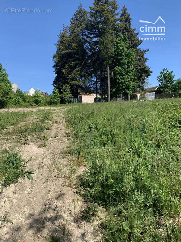 Terrain à Amilly  - photo 3