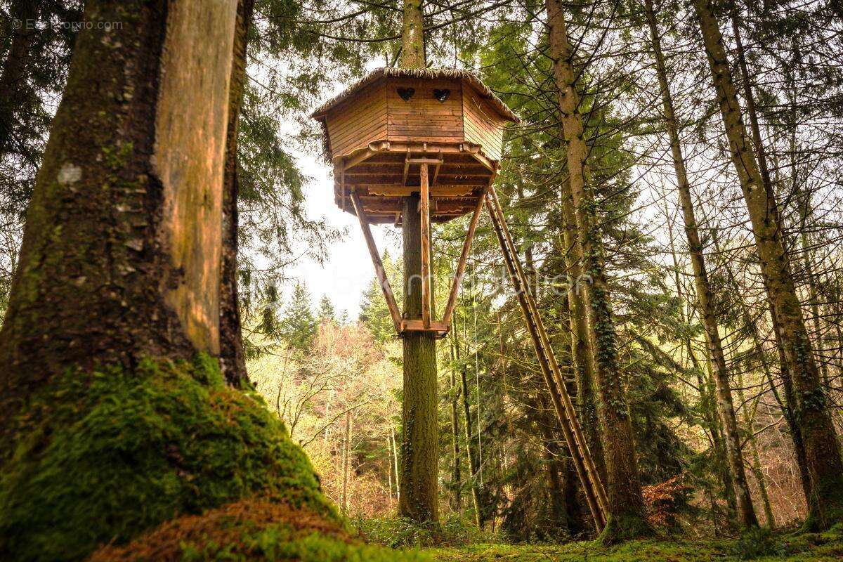 Commerce à SAINT-GERVAIS-D'AUVERGNE