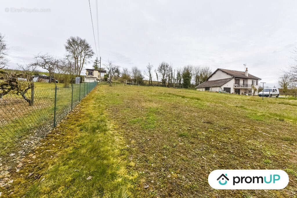 Terrain à SAINT-PERE