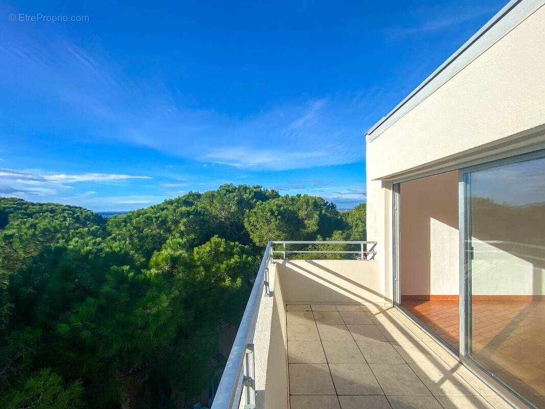 Appartement à SETE