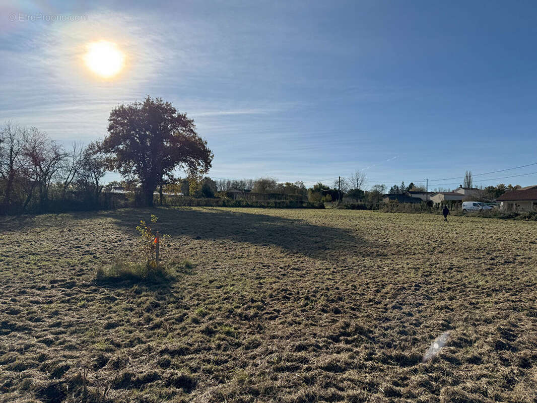 Terrain à ORLEAT