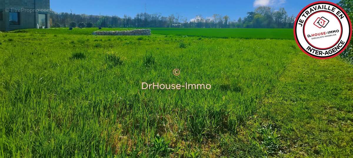 Terrain à SAINT-BERNARD